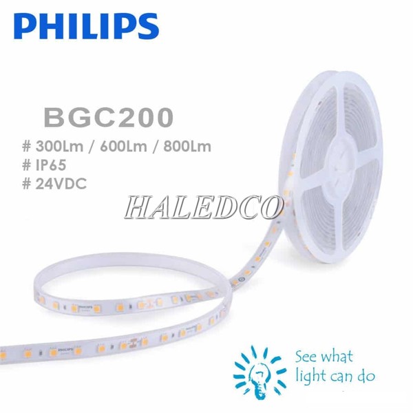 Đèn LED dây Philips loại nào tốt nhất