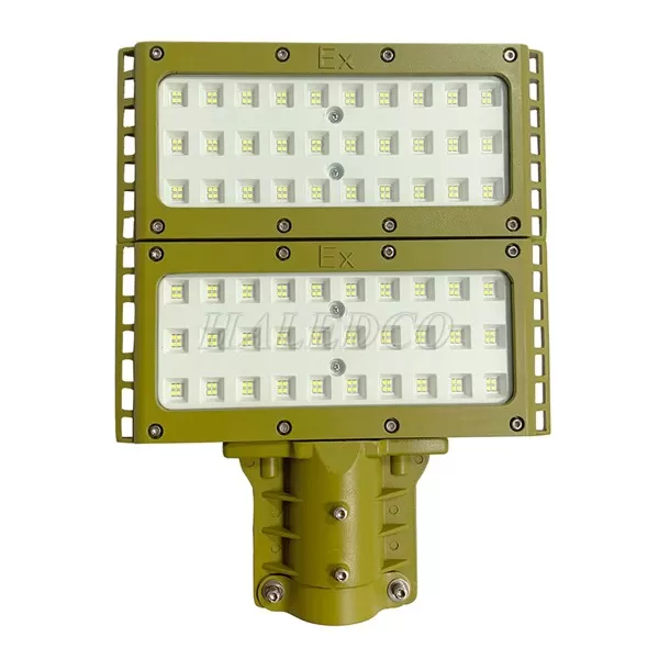 Đèn LED chống cháy nổ HLEPS1-100 