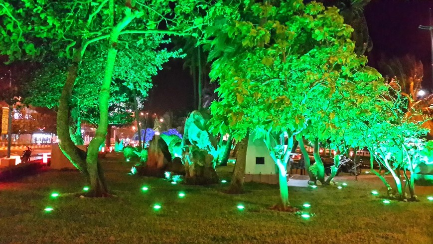 Dự án cung cấp đèn chiếu cây sân vườn biệt thự Mr Phúc Chương Mỹ